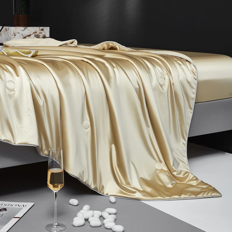 Pure Mulberry Silk Comforter for All Season, 100% Natural Long Strand Silk Filled Duvet, Lightweight Summer Quilt/Blanket/Duvets
